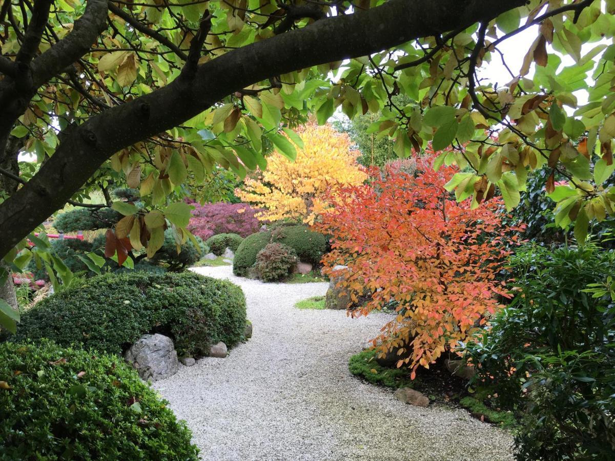 Den Japanske Have B & B Herning Exterior photo